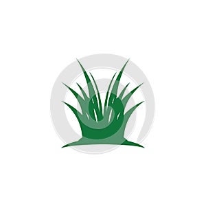 Nature grass icon and symbol vector template