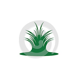 Nature grass icon and symbol vector template