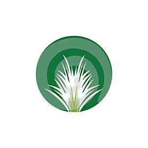 Nature grass icon and symbol vector template