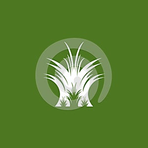 Nature grass icon and symbol vector template