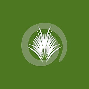 Nature grass icon and symbol vector template