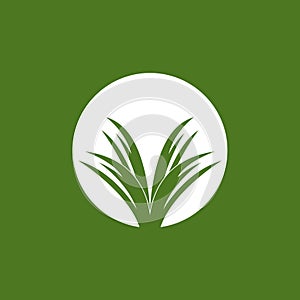 Nature grass icon and symbol vector template