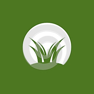 Nature grass icon and symbol vector template