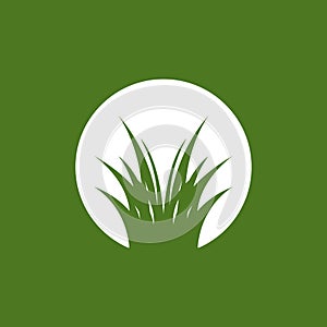 Nature grass icon and symbol vector template