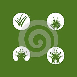 Nature grass icon and symbol vector template