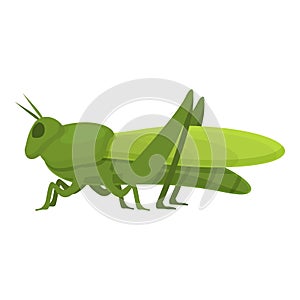 Nature grasshopper icon cartoon vector. Art ant color