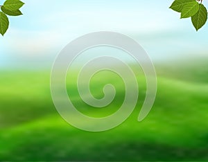 Nature green background with fresh leaves on a blurred background of grass and sky. View with copy space add text. Vector