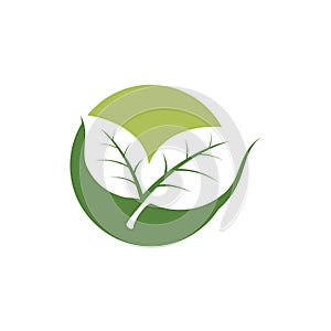 nature green leaf element vector icon. green leaves vector symbol