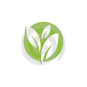 nature green leaf element vector icon. green leaves vector symbol