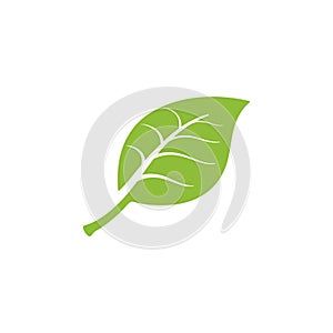 nature green leaf element vector icon. green leaves vector symbol