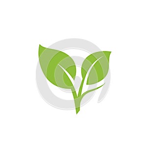 nature green leaf element vector icon. green leaves vector symbol