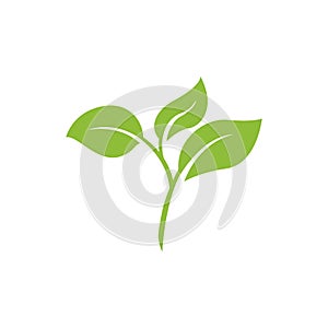 nature green leaf element vector icon. green leaves vector symbol