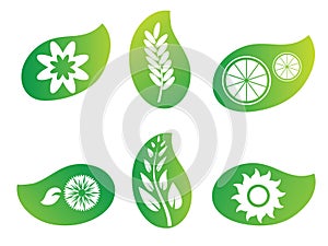 Nature green leaf logos