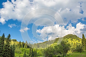 Nature of green trees and blue sky, near Medeo in Almaty, Kazakhstan,Asia