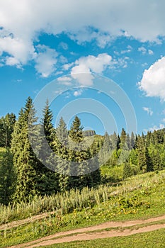 Nature of green trees and blue sky, road on Medeo in Almaty, Kazakhstan