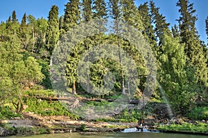 Nature of green trees and cascade of river near Medeo in Almaty, Kazakhstan,Asia