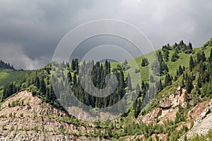 Nature of green trees and mounts, near Medeo in Almaty, Kazakhstan,Asia