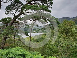 Nature green view piont in the Lake