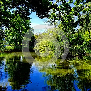 #nature #green #water #river #reflexiÃ³n
