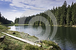 Nature in harz area germany