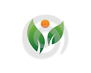 Nature health wellness eco green leaf vector logo