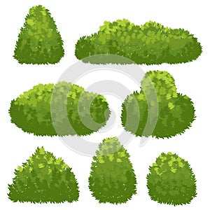 Nature hedge, garden green bushes. Cartoon shrub and bush vector set isolated on white background