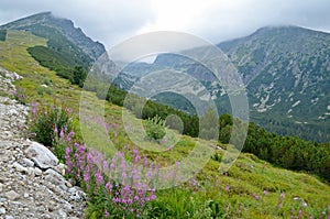 Nature in the High Tatras