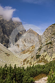 Nature of High Tatras mountains. Slovakia