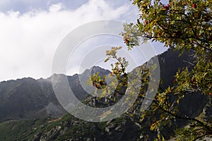 Nature of High Tatras mountains. Slovakia