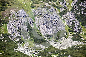 Nature in High Tatras, Slovakia