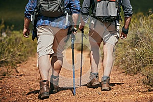 Nature hiking, fitness and exercise of friends walking on a mountain forest park ground trail. Walk adventure trekking