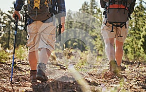 Nature hiking, fitness and exercise of people walking on a green forest park ground trail. Walk adventure trekking