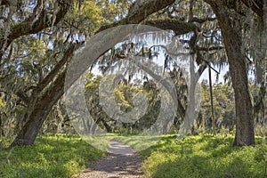 Nature Hiking Trail