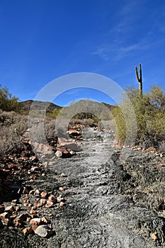 Nature hiking trail leading through Arizona desert