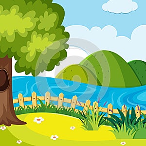 A nature hill landscape