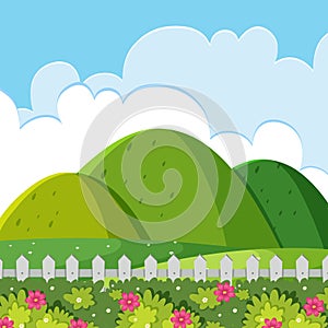 A nature hill landscape