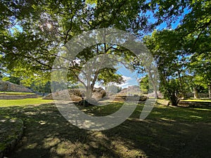 Nature and history on Campeche photo