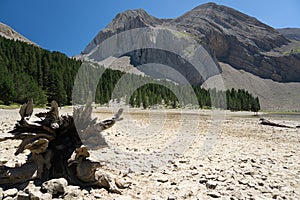 Nature in Ibon de Plan, Huesca, Spain