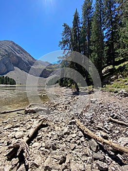 Nature in Ibon de Plan  Huesca  Spain