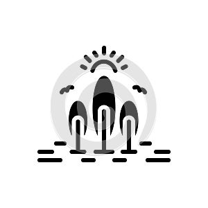 Black solid icon for Nature, environment and forest