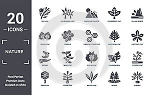 nature icon set. include creative elements as yew leaf, falling debris, hawthorn leaf, poplar leaf, pecan seeding filled icons can