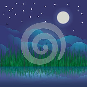 Nature illustration with reeds, lake and night sky