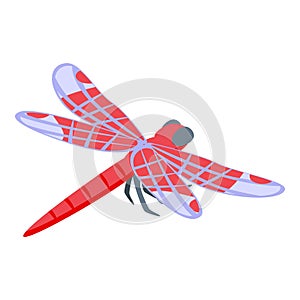 Nature insect icon isometric vector. Wing dragonfly