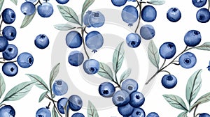 Nature-inspired Blueberry Watercolor Pattern On White Background