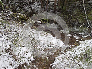 Nature in the Irkutsk region