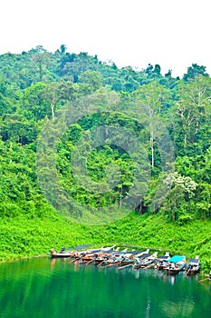 Nature at KhaoSok , Thailand