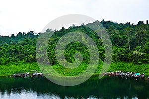 Nature at KhaoSok , Thailand