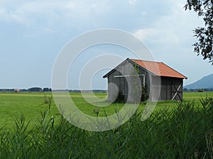 Nature in Kochel am See