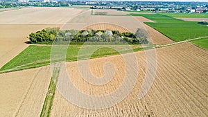 Nature and landscape: aerial view of a field, cultivation, green grass, countryside, farming,