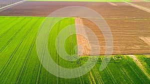 Nature and landscape: Aerial view of a field, cultivation, green grass, countryside, farming,